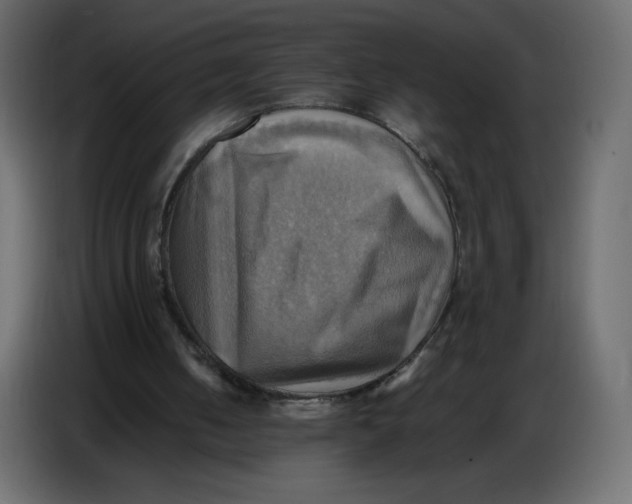 X0000086770050200705041516