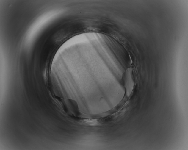 X0000086770052200705041516
