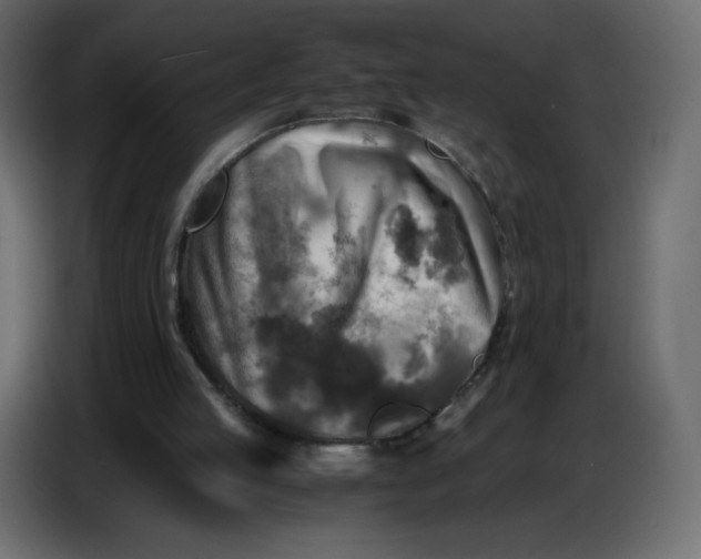 X0000086770053200705041516