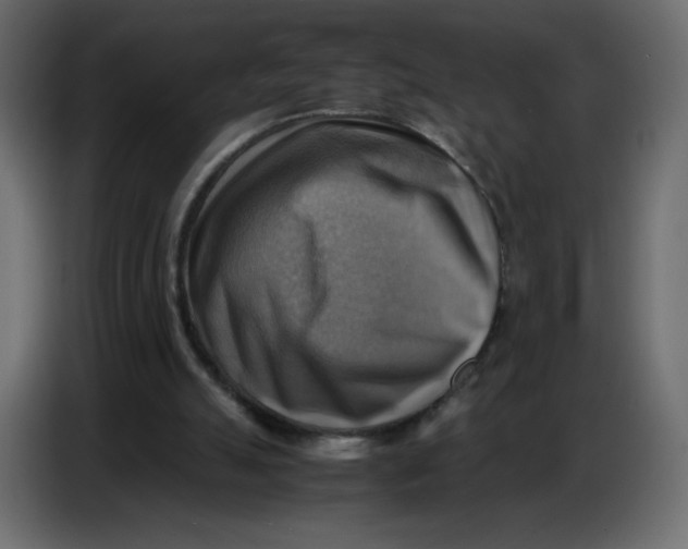 X0000086770055200705041516