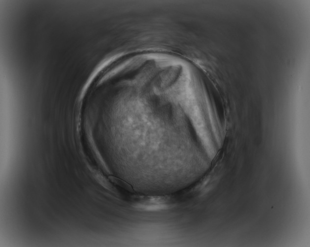 X0000086770056200705041516
