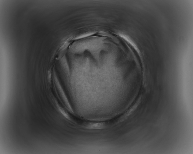 X0000086770057200705041516