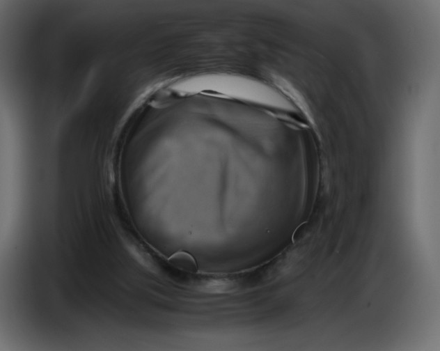 X0000086770059200705041516