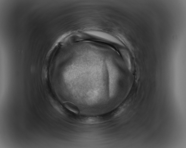 X0000086770060200705041516