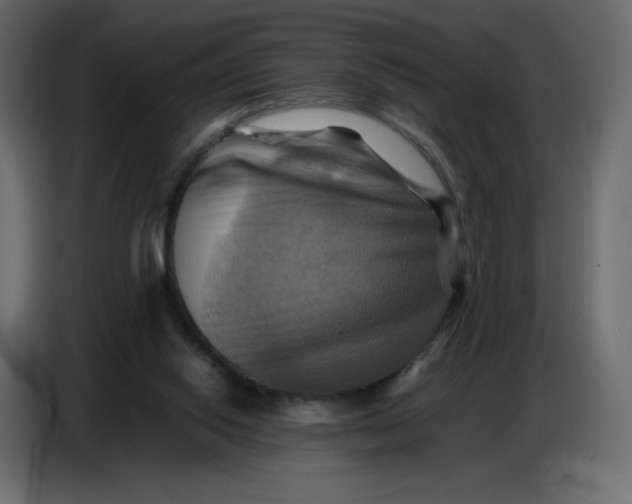 X0000086770062200705041516