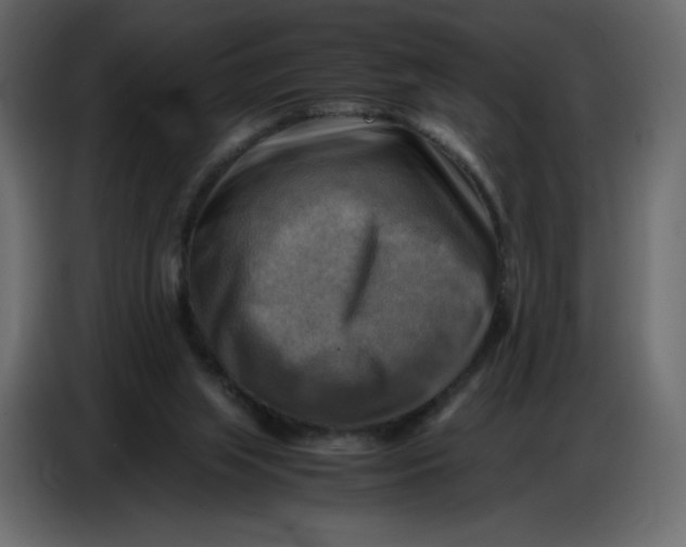 X0000086770063200705041516