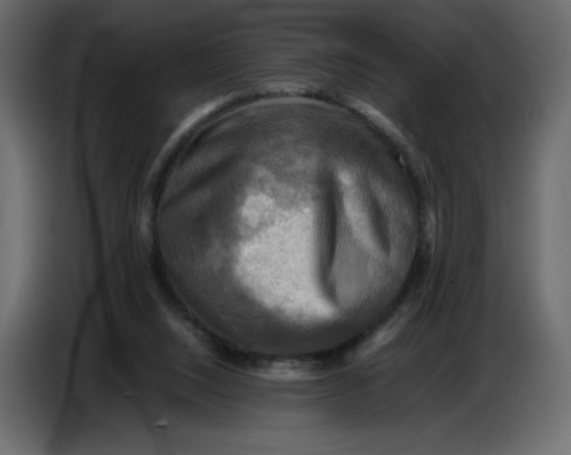 X0000086770064200705041516