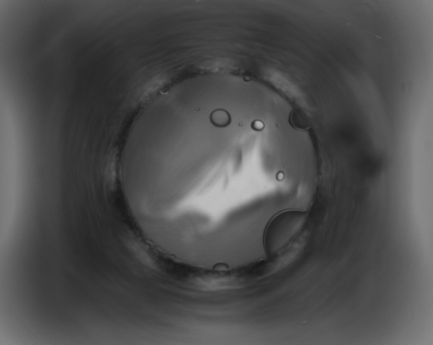X0000086770065200705041516