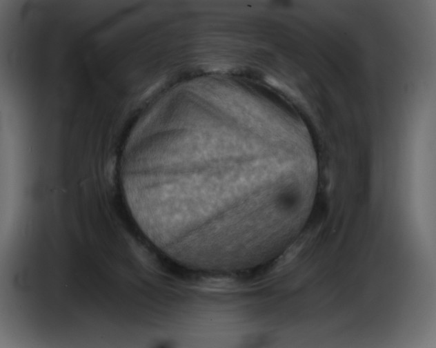 X0000086770066200705041516