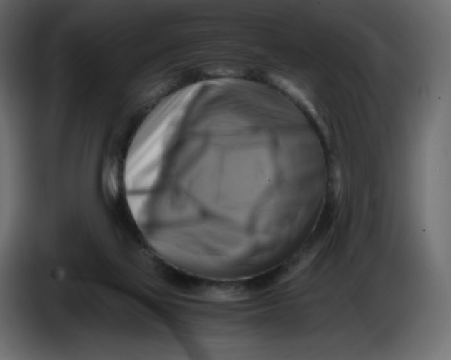 X0000086770069200705041516