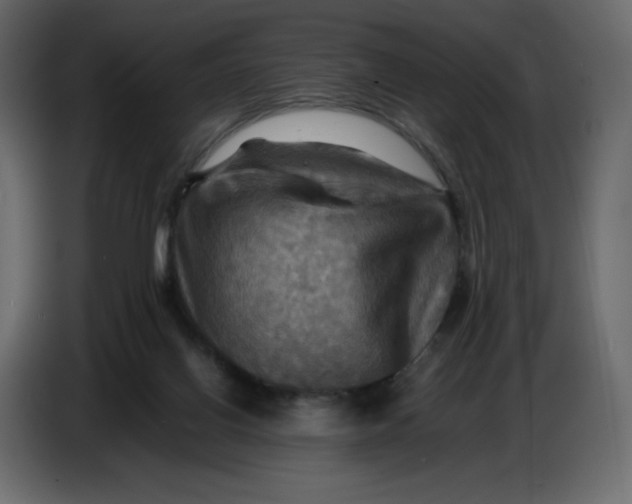 X0000086770070200705041516