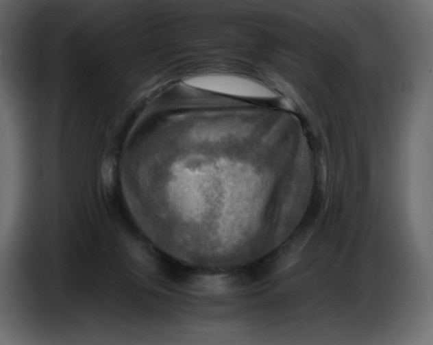 X0000086770071200705041516