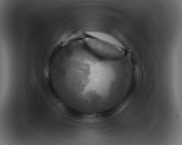 X0000086770072200705041516