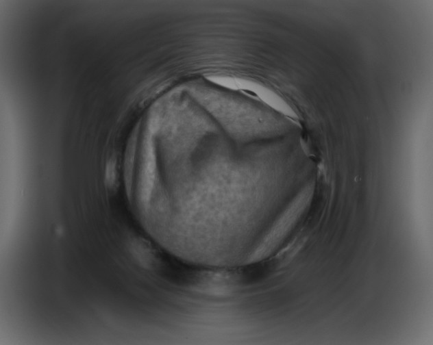 X0000086770074200705041516
