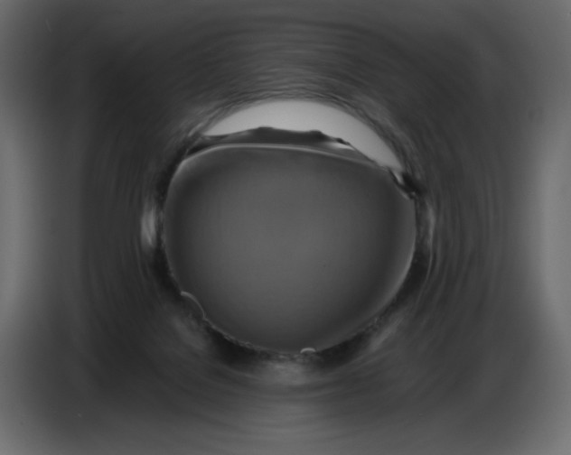 X0000086770076200705041516
