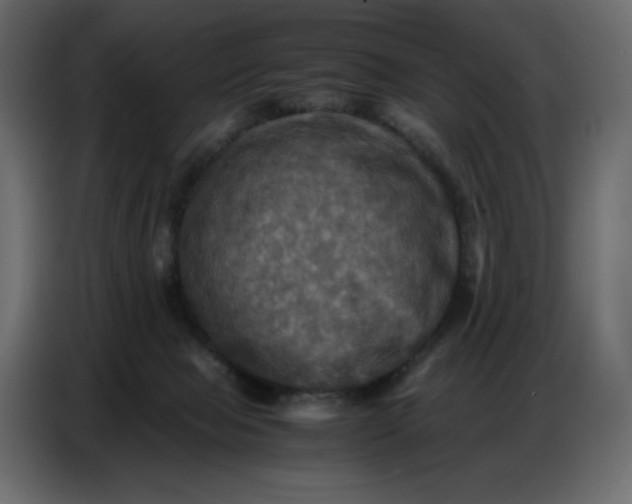 X0000086770077200705041516