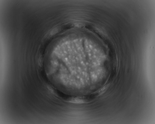 X0000086770078200705041516