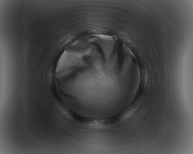 X0000086770080200705041516