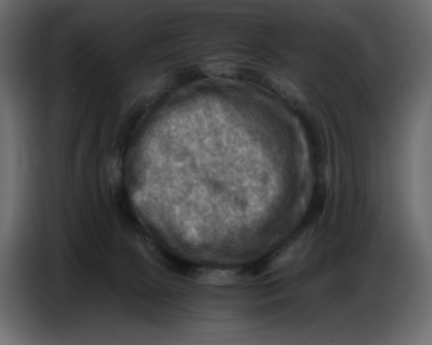 X0000086770081200705041516