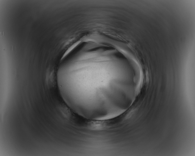 X0000086770088200705041516