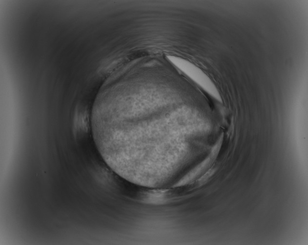 X0000086770090200705041516