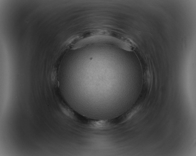 X0000086770092200705041516