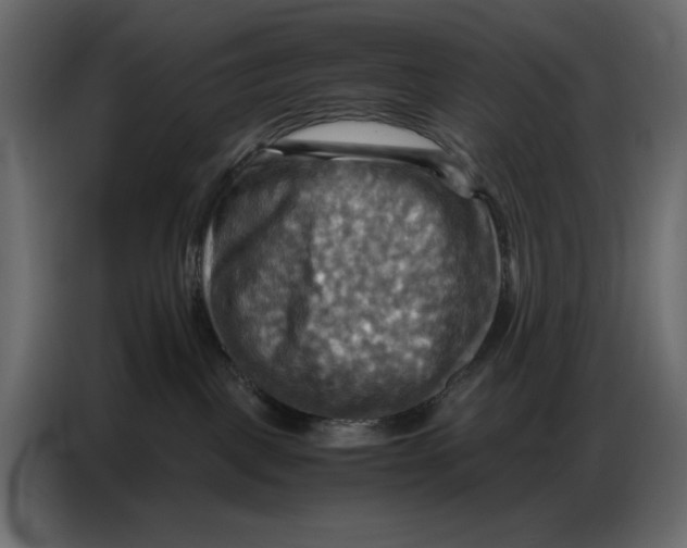 X0000086770093200705041516