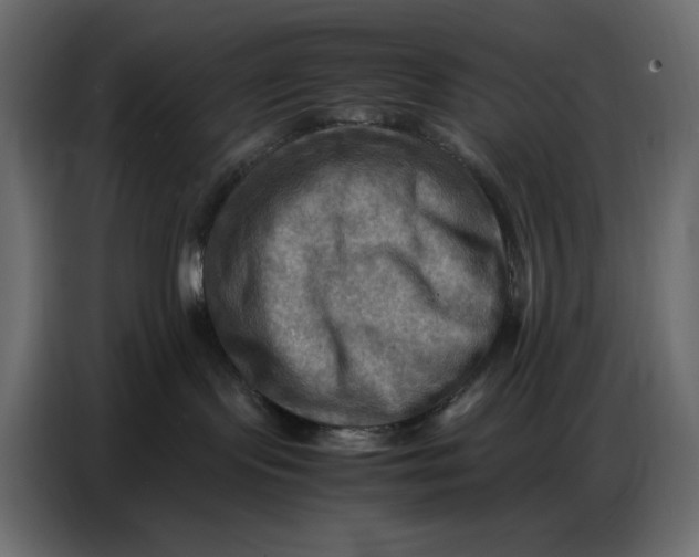 X0000086770095200705041516