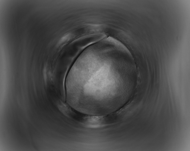 X0000086770096200705041516