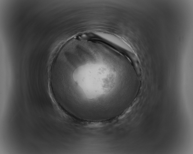 X0000086770097200705041516