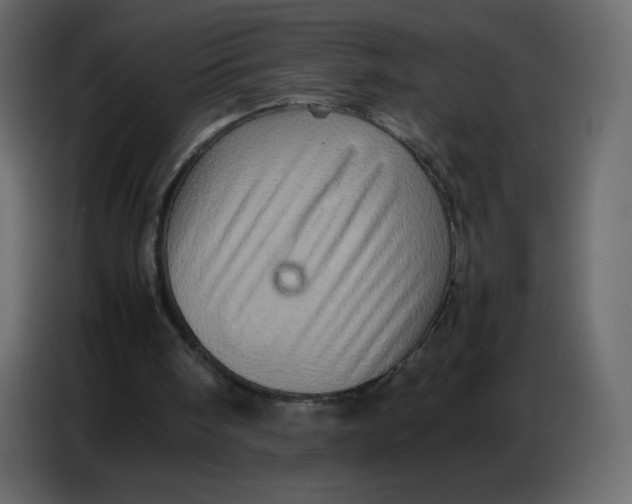 X0000086770098200705041516