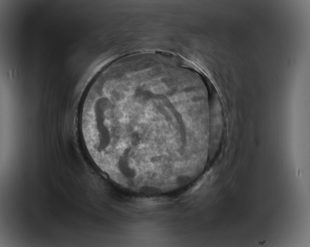X0000086770103200705041516