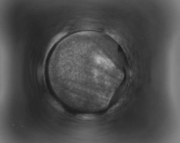 X0000086770104200705041516
