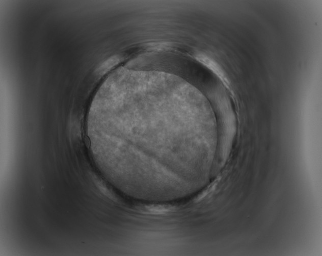 X0000086770105200705041516