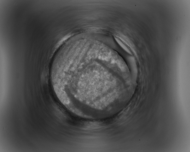 X0000086770107200705041516