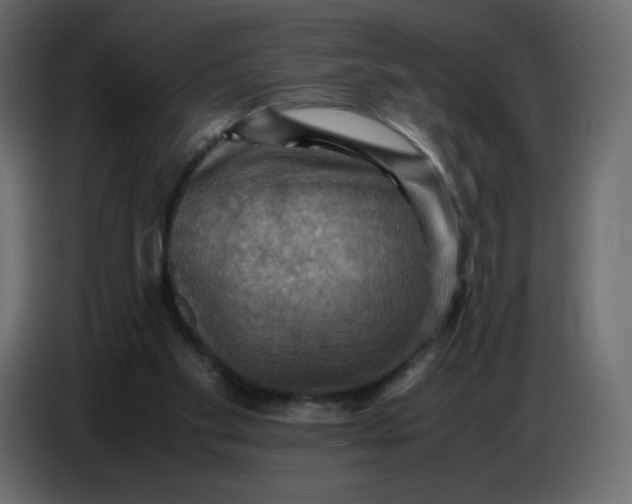 X0000086770109200705041516