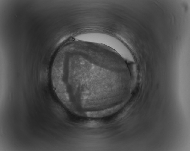 X0000086770111200705041516