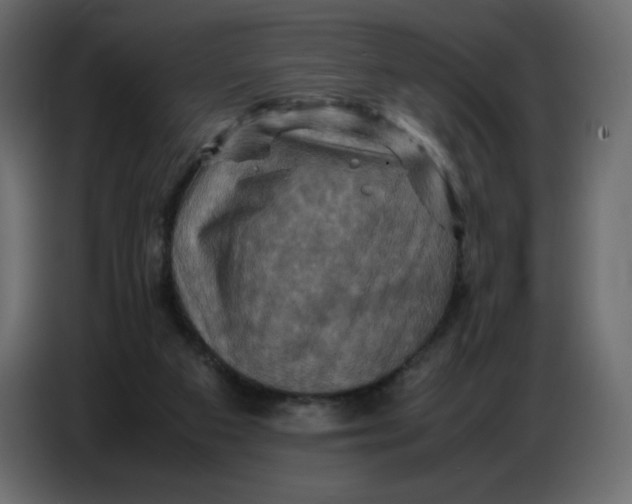 X0000086770113200705041516
