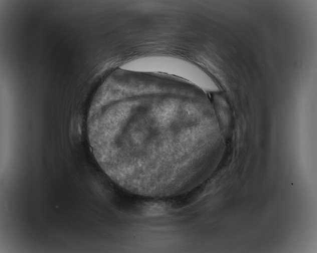 X0000086770115200705041516