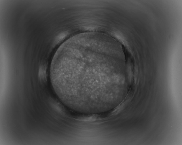 X0000086770116200705041516