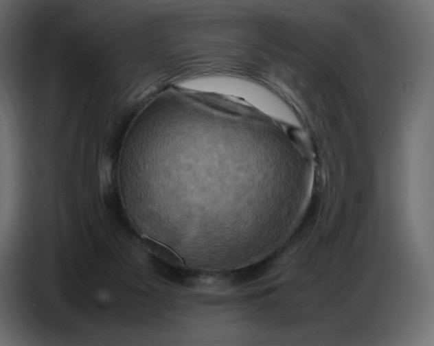 X0000086770117200705041516