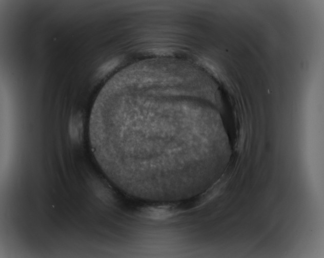 X0000086770120200705041516
