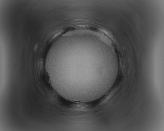 X0000086770121200705041516