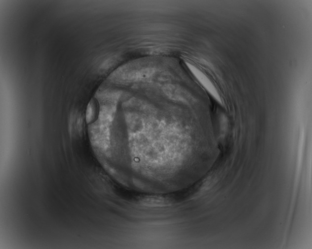 X0000086770123200705041516