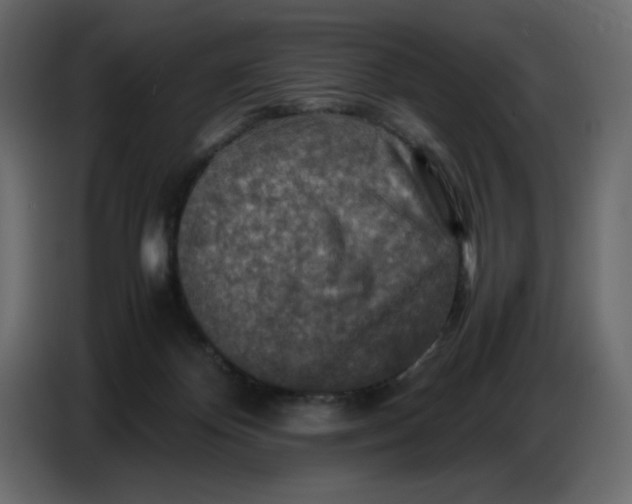 X0000086770124200705041516