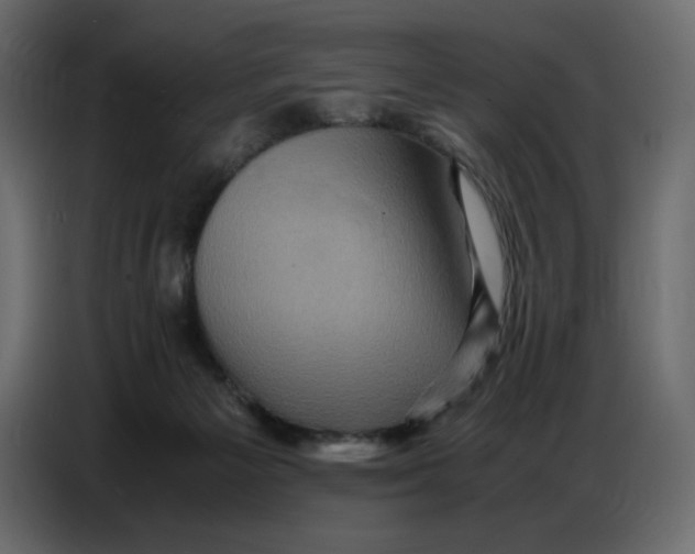 X0000086770125200705041516