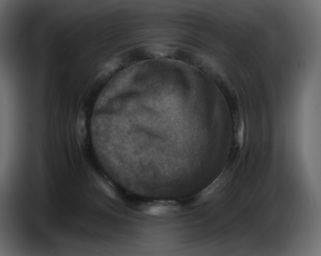 X0000086770128200705041515