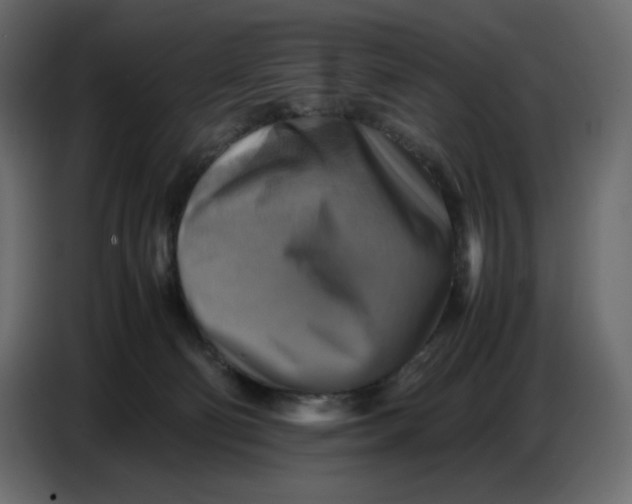 X0000086770130200705041515