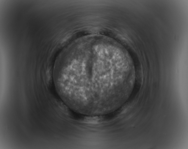 X0000086770131200705041515