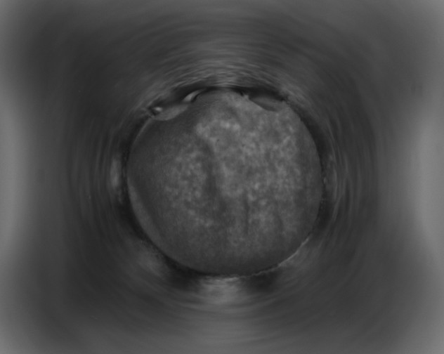 X0000086770132200705041515